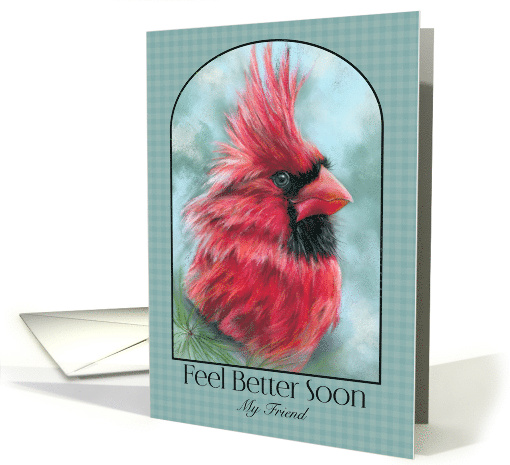 For Friend Feel Better Soon Red Cardinal with Pine Bird... (1937018)