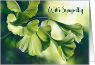 With Sympathy Sunlit Green Ginkgo Leaves Botanical Art card