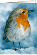 Any Occasion Robin in the Snow Bird Art Blank card