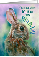 First Birthday for Granddaughter Brown Rabbit in Grass Custom card