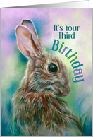 Third Birthday Brown Rabbit in Grass Pastel Art card