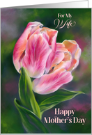 For Wife on Mothers Day Pastel Pink Tulips Floral Art card