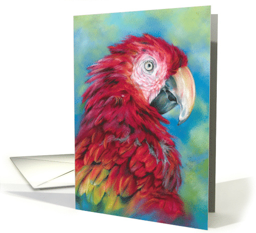 Any Occasion Colorful Macaw Parrot Bird Art Blank card (1947620)