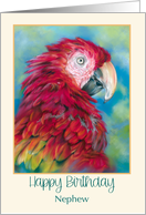 For Nephew Birthday Colorful Macaw Parrot Custom card
