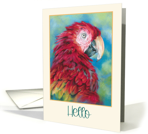 Hello Colorful Macaw Parrot Bird Art card (1947794)