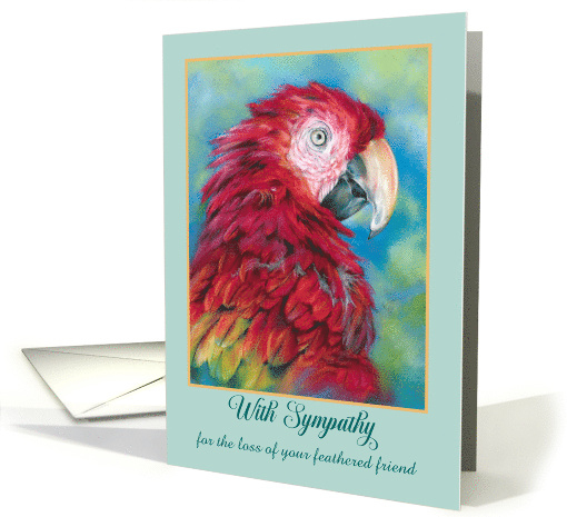 Custom Sympathy Loss of Pet Bird Colorful Macaw Parrot card (1947800)