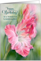 For Granddaughter Birthday Pink Gladiolus Flower Custom card