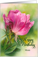 For Mother Birthday Sunlit Pink Rose Custom card
