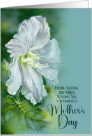 Mothers Day from Across the Miles White Flower on Blue Custom