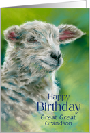 For Great Great Grandson Birthday Spring Lamb Custom card