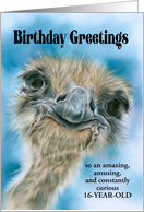 Custom Age Sixteen Years Ostrich Curious Bird Art card