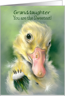 Granddaughters Day Yellow Gosling Chick Dandelion Custom card
