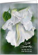 For Any Loss Sympathy Moonflower White Blossom Custom card