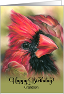 For Grandson Birthday Cardinal Male Red Bird Autumn Dogwood Custom card