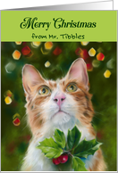 From the Cat Ginger and White Tabby Holly Merry Christmas Custom