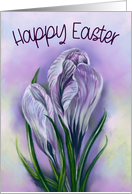 Happy Easter Purple Striped Crocus Flowers