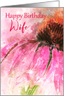 Happy Birthday Wife Echinacea Splash card