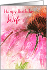 Happy Birthday Wife Echinacea Splash card