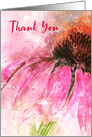 Thank You Echinacea Splash card