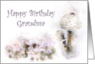 Happy Birthday Grandma Mushroom Medley card