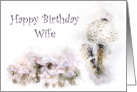 Happy Birthday Wife Mushroom Medley card