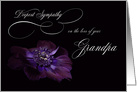 Deepest Sympathy Loss Grandpa purple Anemone flower card