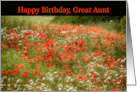 Great Aunt Happy Birthday Poppy Field Summer card