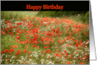 Happy Birthday Poppy Field Summer card