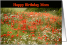 Mom Happy Birthday Poppy Field Summer card