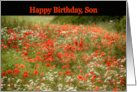 Son Happy Birthday Poppy Field Summer card