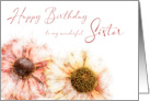 Wonderful Sister Birthday Two Hand Drawn Colored Helenium Flowers card
