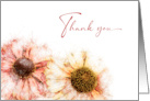 Thank You Two Hand Drawn Colored Helenium Flowers card