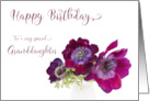 Happy Birthday Granddaughter Three Burgundy Anemone Coronaria Flowers card