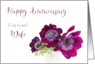 Happy Anniversary Wife Three Burgundy Anemone Coronaria Flowers card