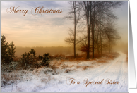 A special Sister Christmas Snow Covered Country Path card