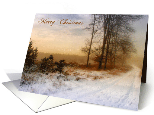 Christmas Snow Covered Country Path card (1495590)