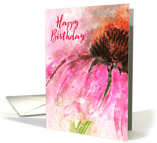 Happy Birthday Echinacea Splash card (1498134)