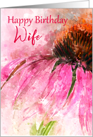 Happy Birthday Wife Echinacea Splash card