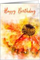 Happy Birthday Helenium Splash card