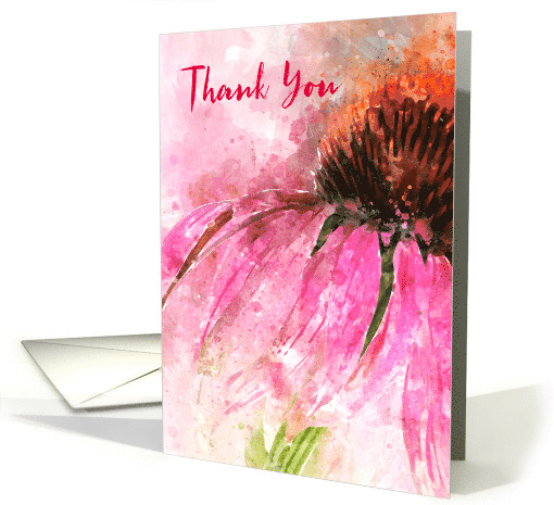 Thank You Echinacea Splash card (1499492)