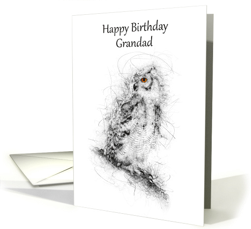 Grandad Happy Birthday Owl Scribble Art card (1499962)