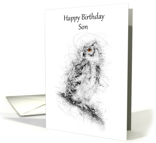 Son Happy Birthday Owl Scribble Art card (1499988)