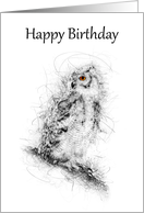 Happy Birthday Owl Scribble Art card