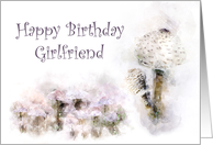 Happy Birthday Girlfriend Mushroom Medley card