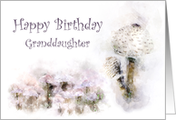 Happy Birthday Granddaughter Mushroom Medley card