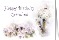 Happy Birthday Grandma Mushroom Medley card