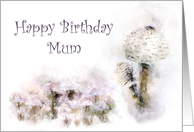 Happy Birthday Mum Mushroom Medley card