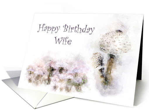 Happy Birthday Wife Mushroom Medley card (1503990)