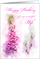 Happy Birthday Wife Pink Foxglove Watercolor card