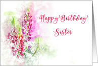 Happy Birthday for Sister Watercolor of Pink Lupins card